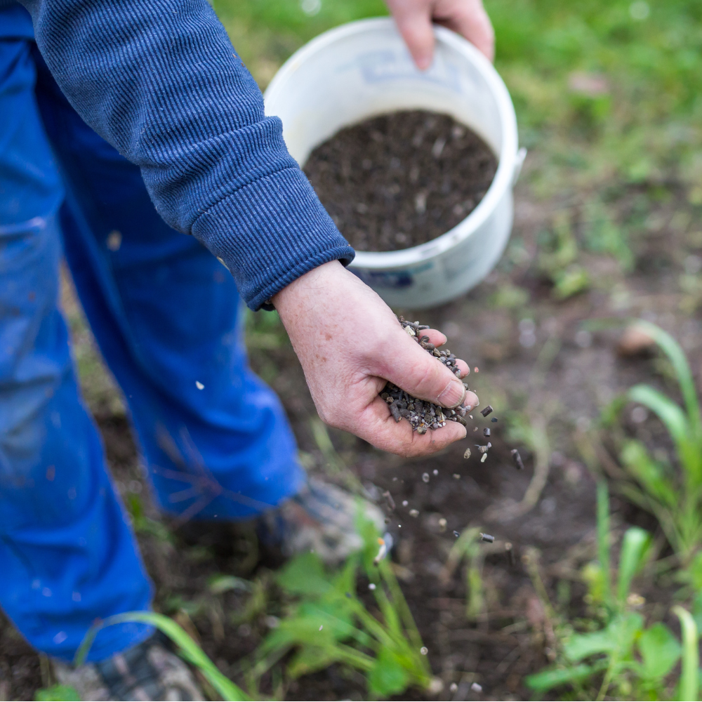 Organic Fertilizer and Soil Treatments